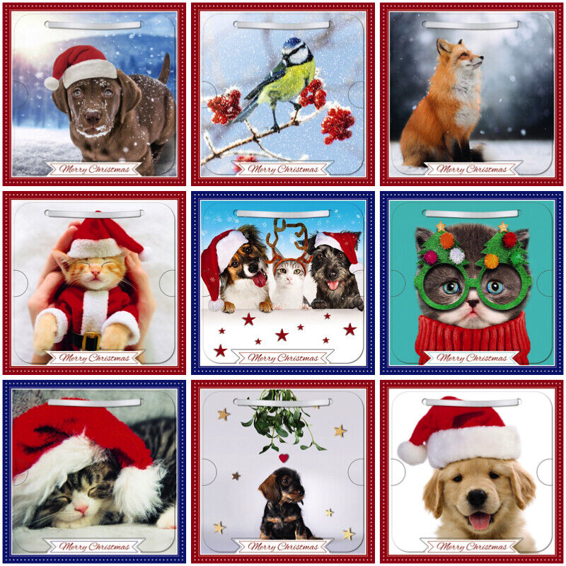 3d holographic christmas cards Lenticular Photographic Art Festive Pets Effect Christm – Affinity Gifts Colour:Strawberry Cheesecake pokemon cards india journey together booster display