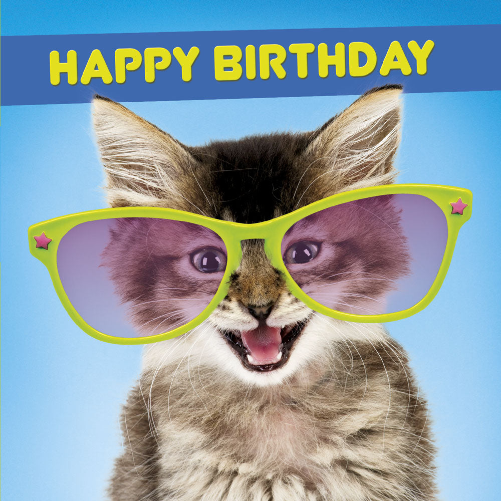 Cats in Huge Glasses Lenticular 3D/Holographic Greeting Card Tracks Publishing Affinity Gifts Cats in Huge Glasses Lenticular 3D/Holographic Greeting Card Tracks Publishing Affinity Gifts