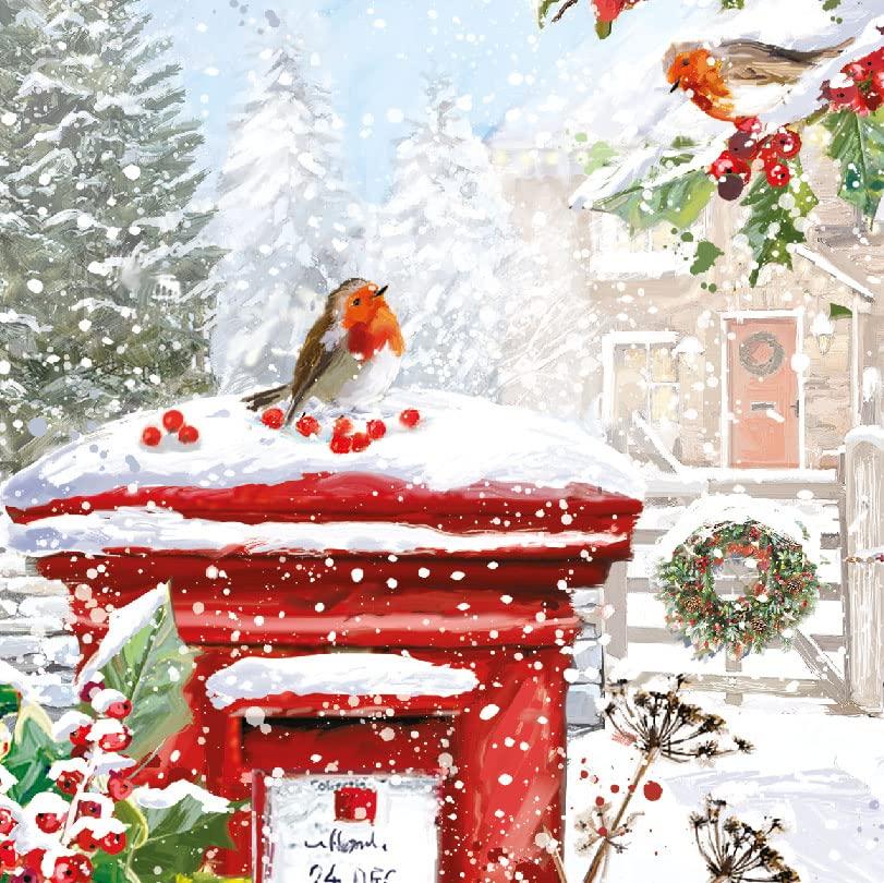 Robins Chattering on Postbox 6 Charity Christmas & New Year Greetings Cards Pack