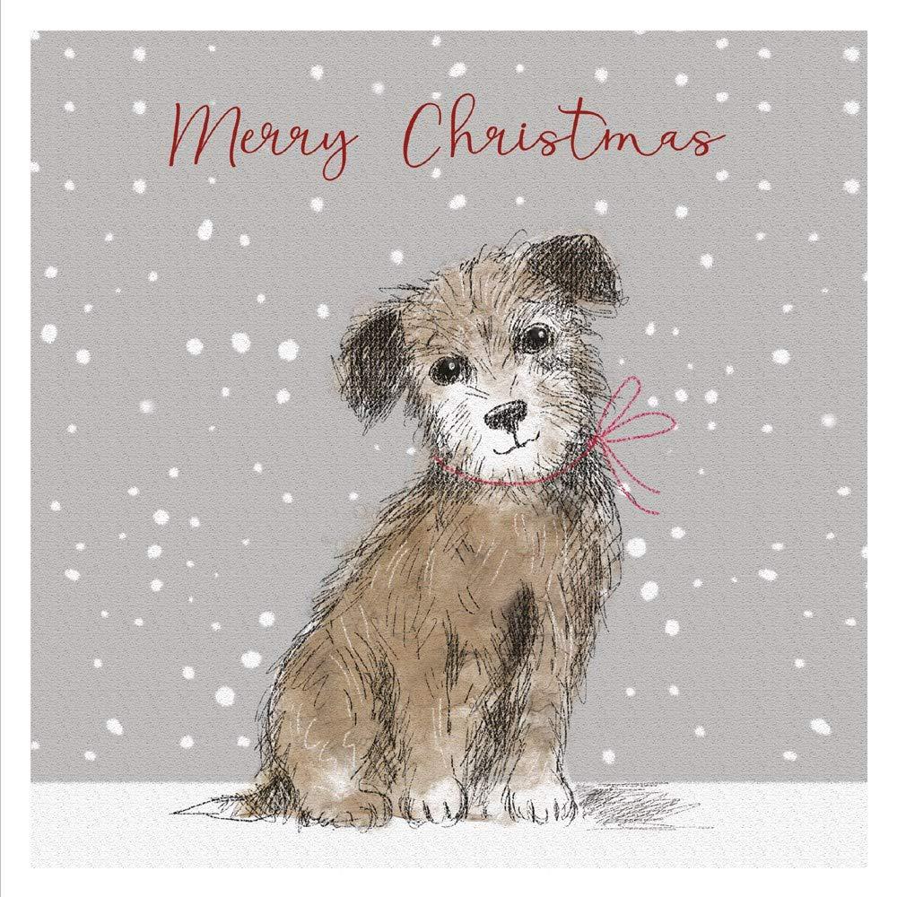 Border Terrier Puppy Dog in Snow - Charity Pack of 5 Christmas & New Year Cards