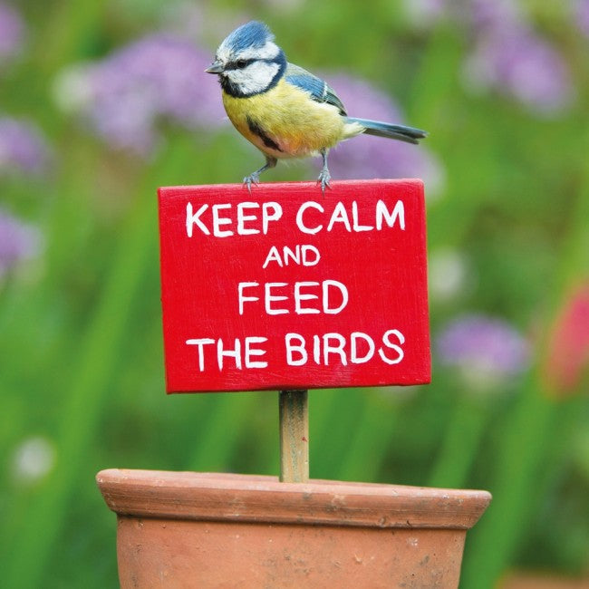 Keep Calm Blue Tit BBC Springwatch Range Blank Greeting Card