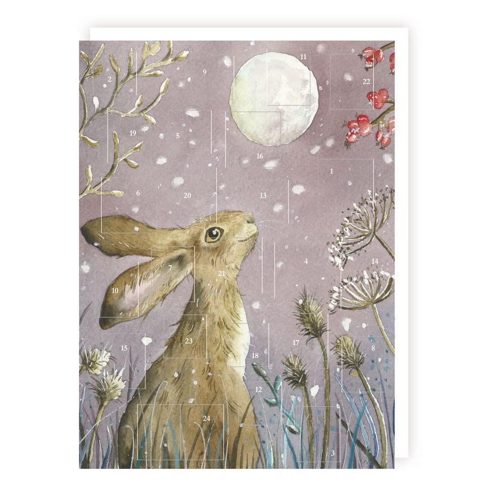 Tracks Traditional Moongazing Hare Advent Calendar - 24 Doors Christmas Countdown Grey