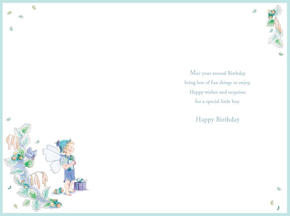 Nephew 2nd Birthday Card Age 2 Catkin Pixie 9'' x 6'' Lovely Verse