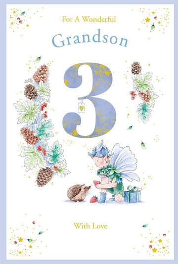 Grandson 3rd Birthday Card Age 3 Pinecone Pixie 9'' x 6'' Lovely Verse