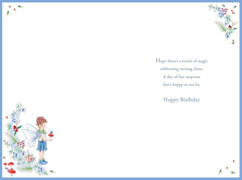 Nephew 3rd Birthday Card Age 3 Berry Pixie 9'' x 6'' Lovely Verse