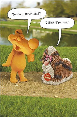 You're How Old? I Shih Tzu Not Funny Humour Birthday Card - Dog