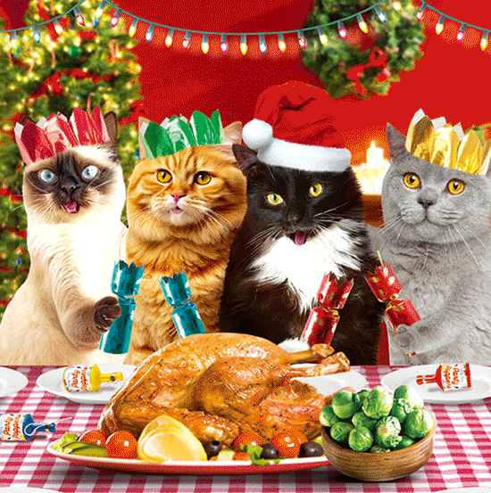 3D Lenticular Christmas Card – Cats' Christmas Turkey Dinner