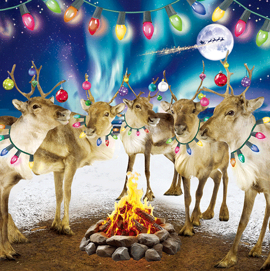 3D Lenticular Reindeer Christmas Card Aurora Northern Lights Campfire Baubles