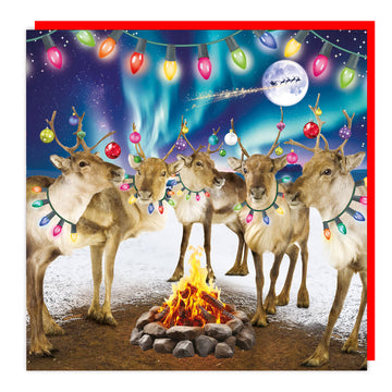 3D Lenticular Reindeer Christmas Card Aurora Northern Lights Campfire Baubles
