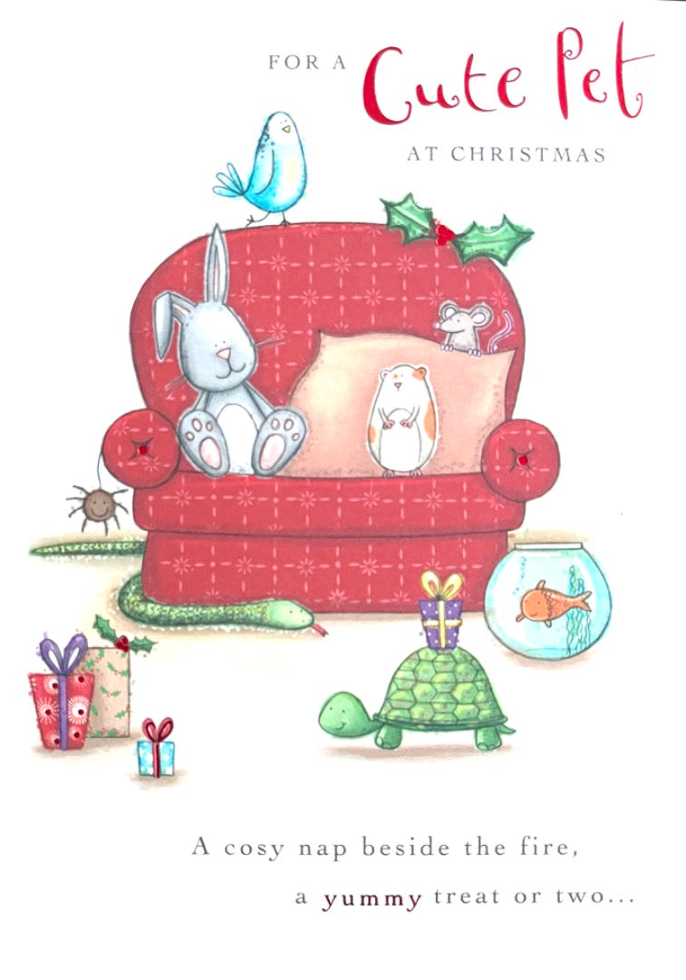 For A Cute Pet At Christmas Card - Cosy Nap Treats - Bird, Bunny Rabbit, Hamster, Tortoise, Fish, Snake, Mouse Spider - Hallmark