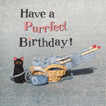 Have A Perfect Birthday Cat with Knitting  Vintage Retro Art Blank Card - The Bees Knees