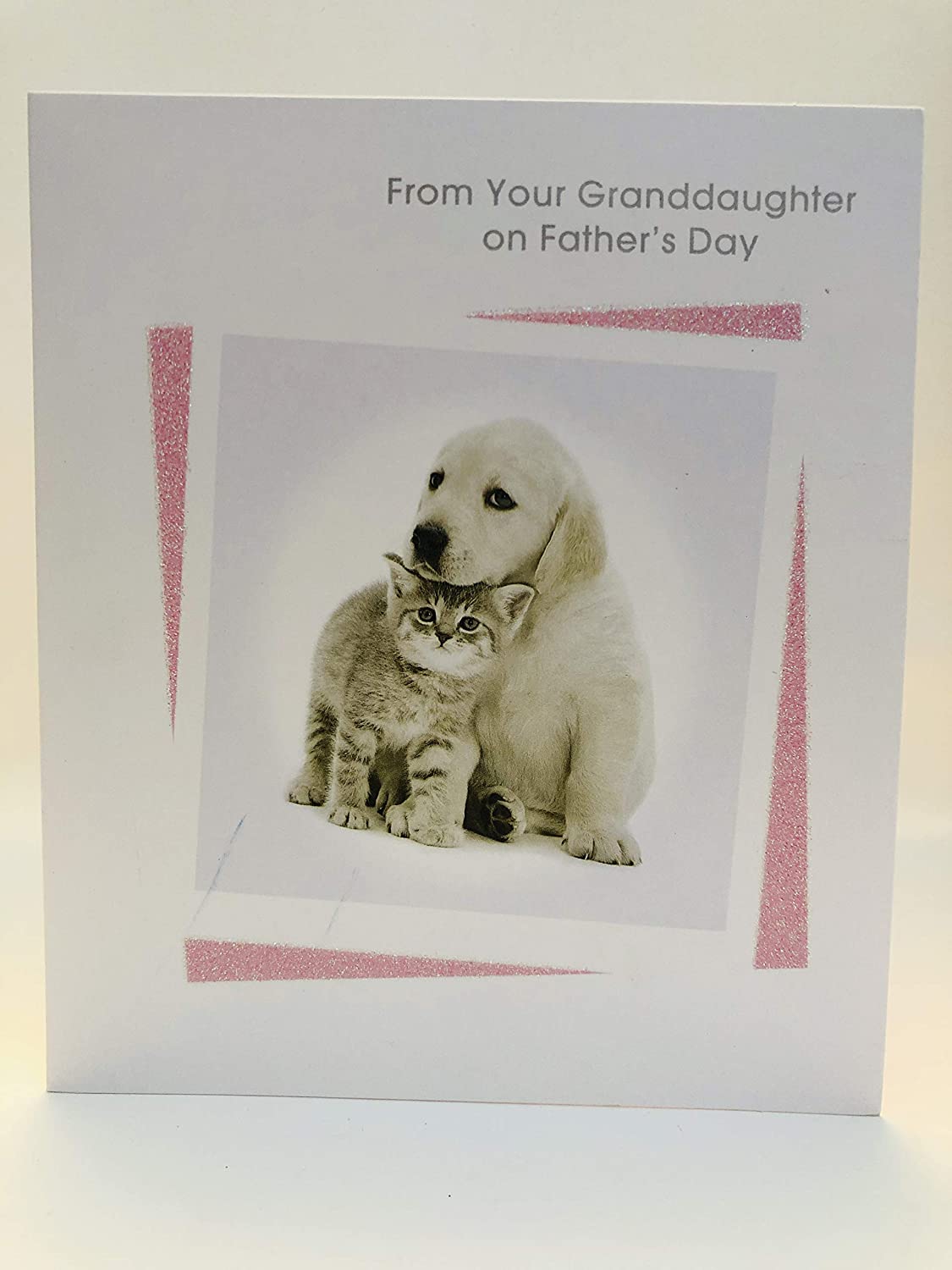 From Your Granddaughter on Father's Day Cute Cat & Dog Glitter UK Greetings Card