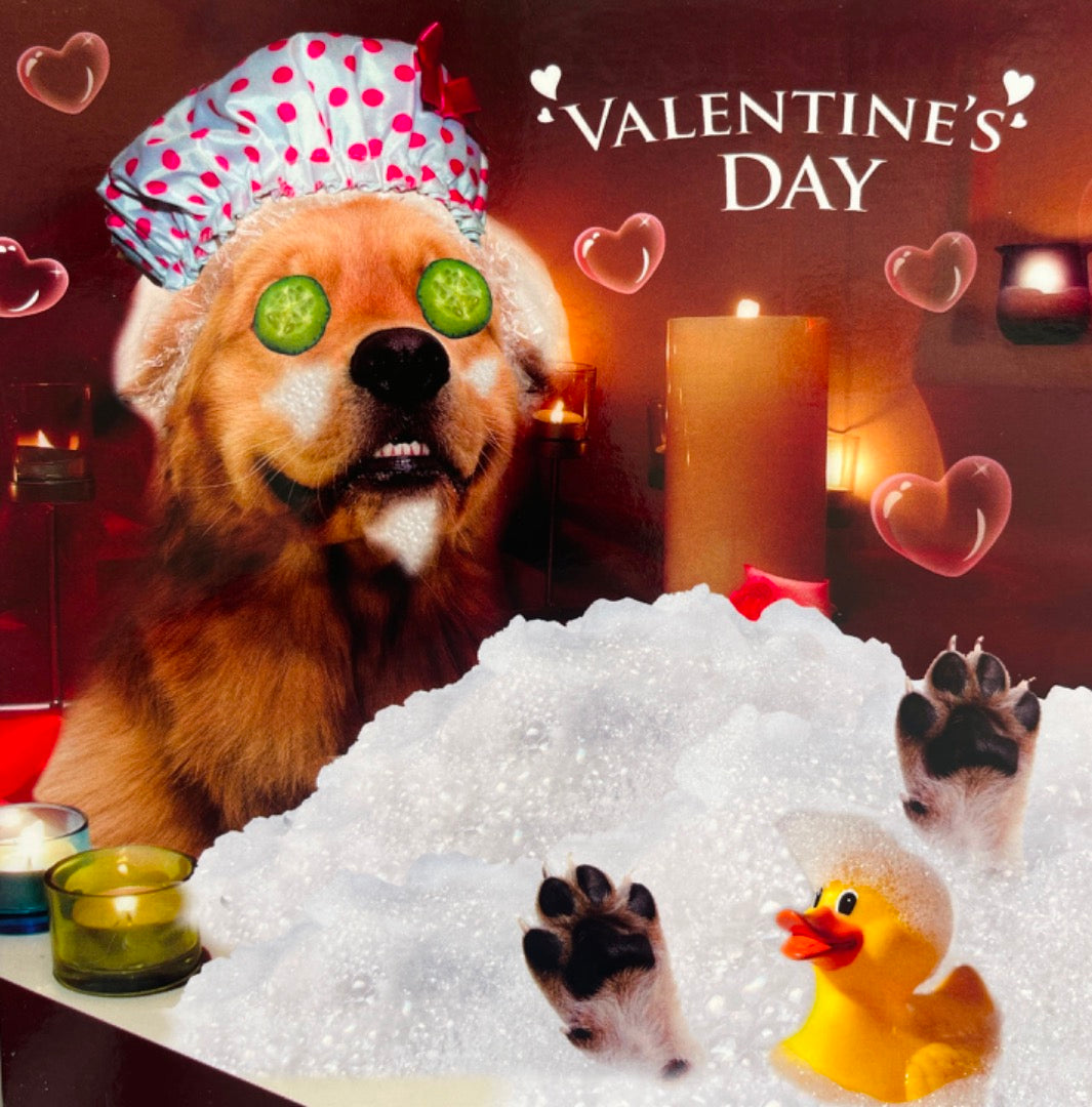 Dog Relaxing in Candlelit Bubble Bath Spa Funny Photo Art Valentine's Day Card