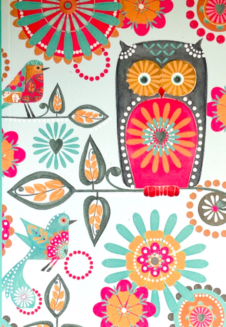 Notebook with 100 plain blank pages - Artistic Birds Owl and Birds