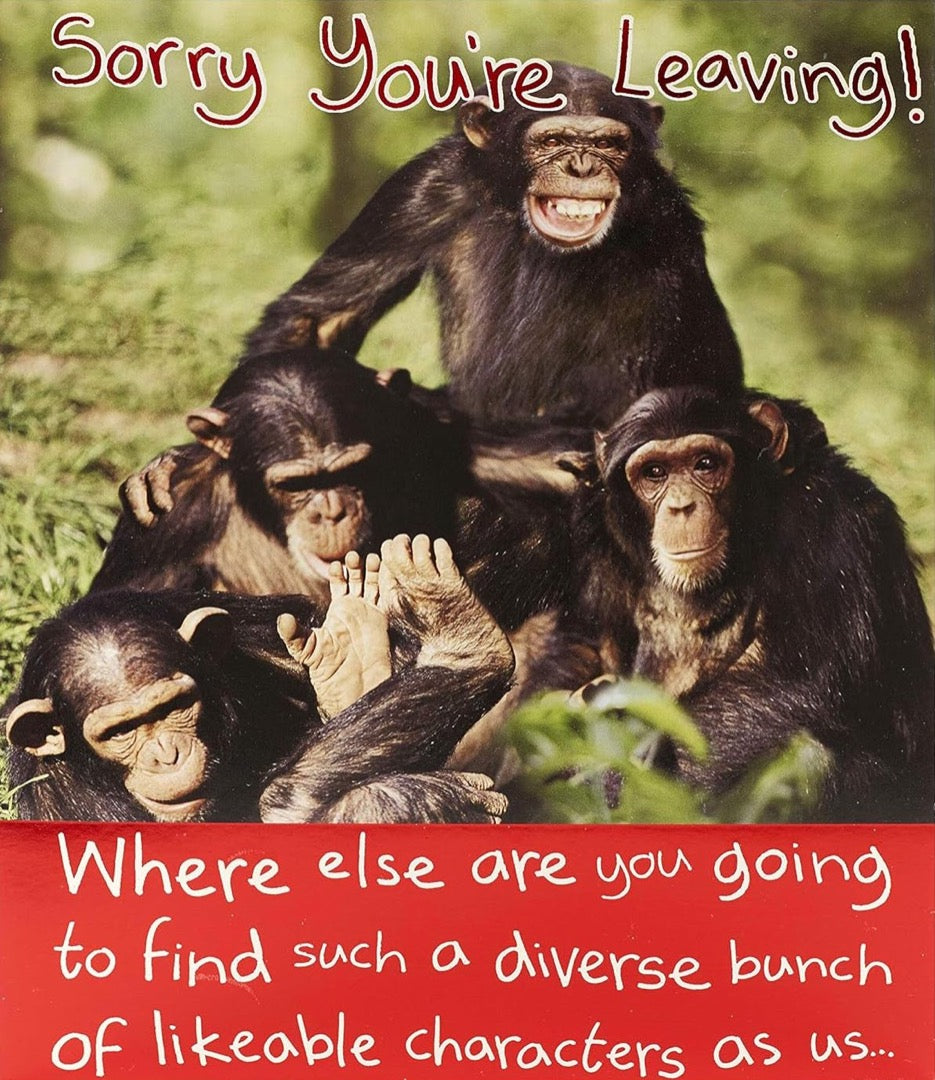 Sorry You're Leaving - Goodbye And Good Luck! Funny Humour Extra Large Greeting Card - Work Colleagues Diverse Bunch Monkeys Chimp