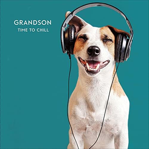 Grandson Time To Chill Enjoy You Birthday Card Happy Dog with Headphones Music Modern Contemporary