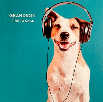 Grandson Time To Chill Enjoy You Birthday Card Happy Dog with Headphones Music Modern Contemporary