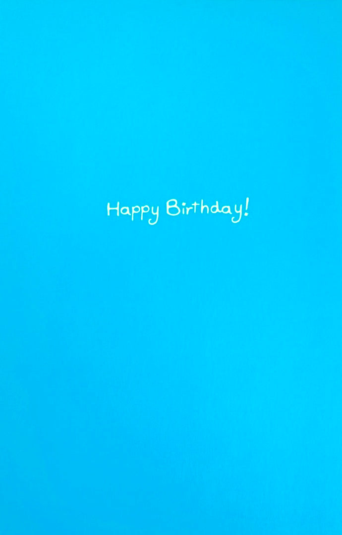 Son Happy Birthday Card Your Room Absolute Pigsty Pig Funny Humour Out Of The ark