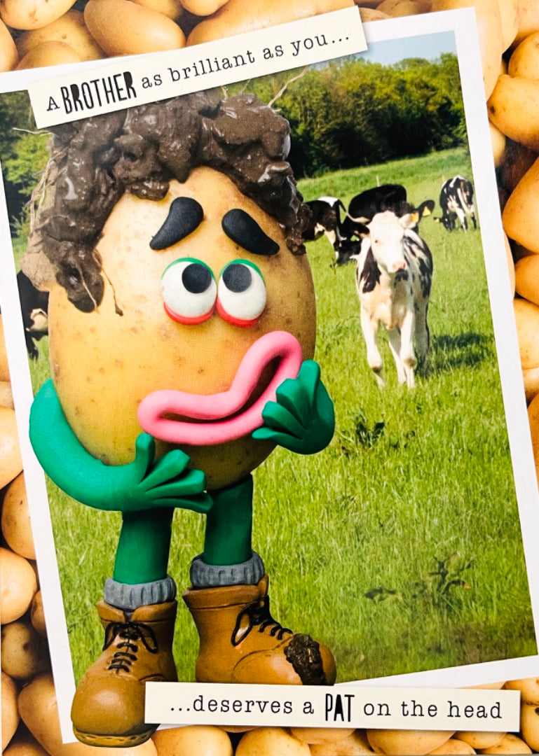 Brilliant Brother Deserves A Cow PAT On The Head Birthday Card Funny Humour Violent Veg