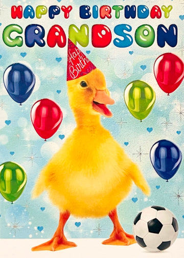 Grandson Happy Birthday Card Have A Great Day Chick Football Party Funny Humour