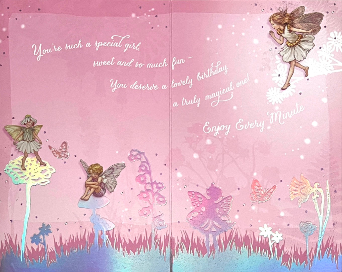 Wonderful Granddaughter Birthday Card Magical Flower Fairies Foil Fairy Art