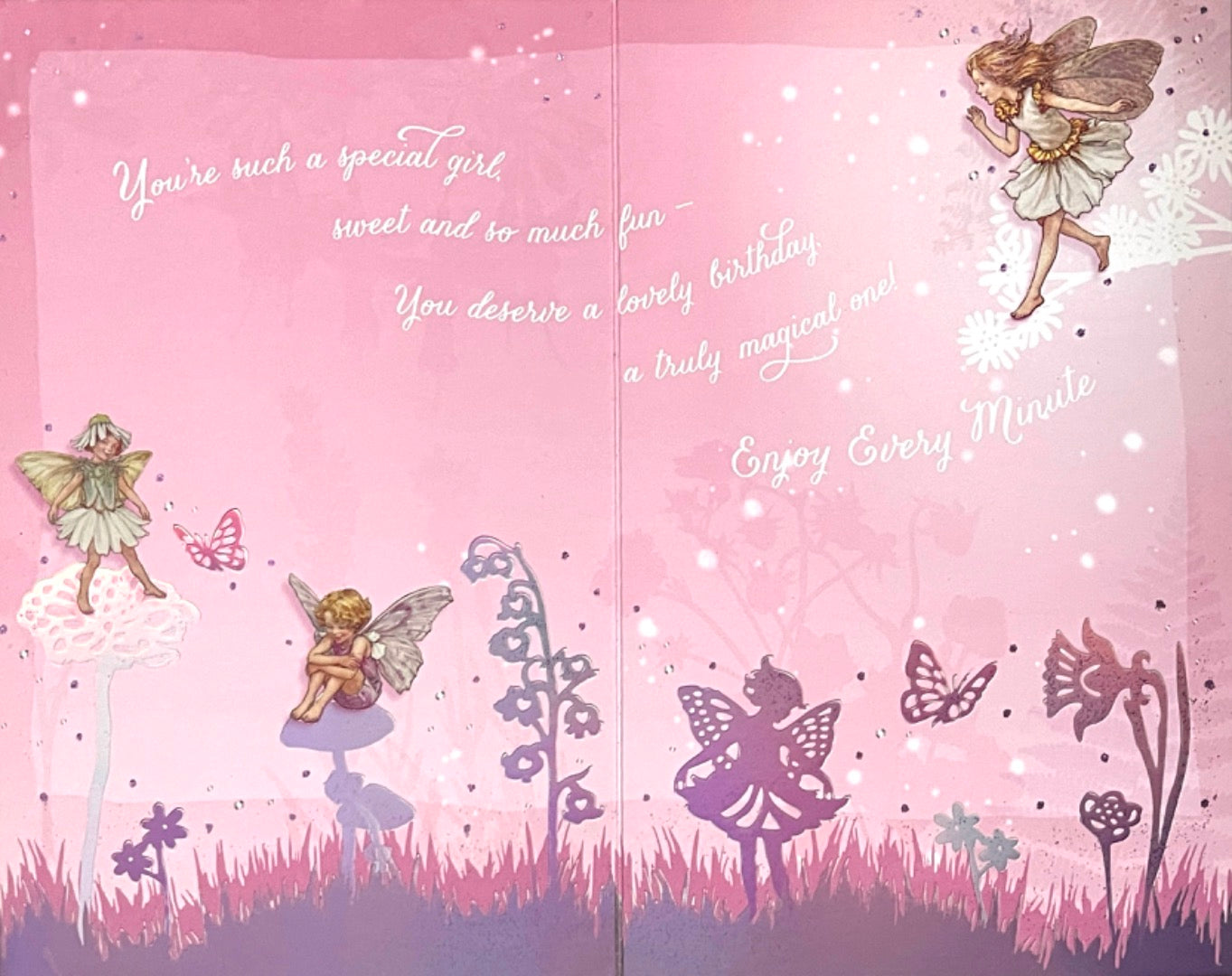 Wonderful Granddaughter Birthday Card Magical Flower Fairies Foil Fairy Art
