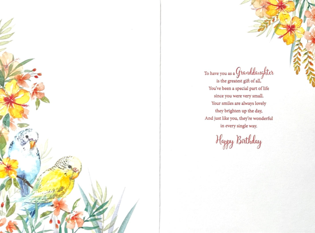 Special Granddaughter Birthday Card Pretty Birds Parakeet Budgies Tropical Flowers Parrots