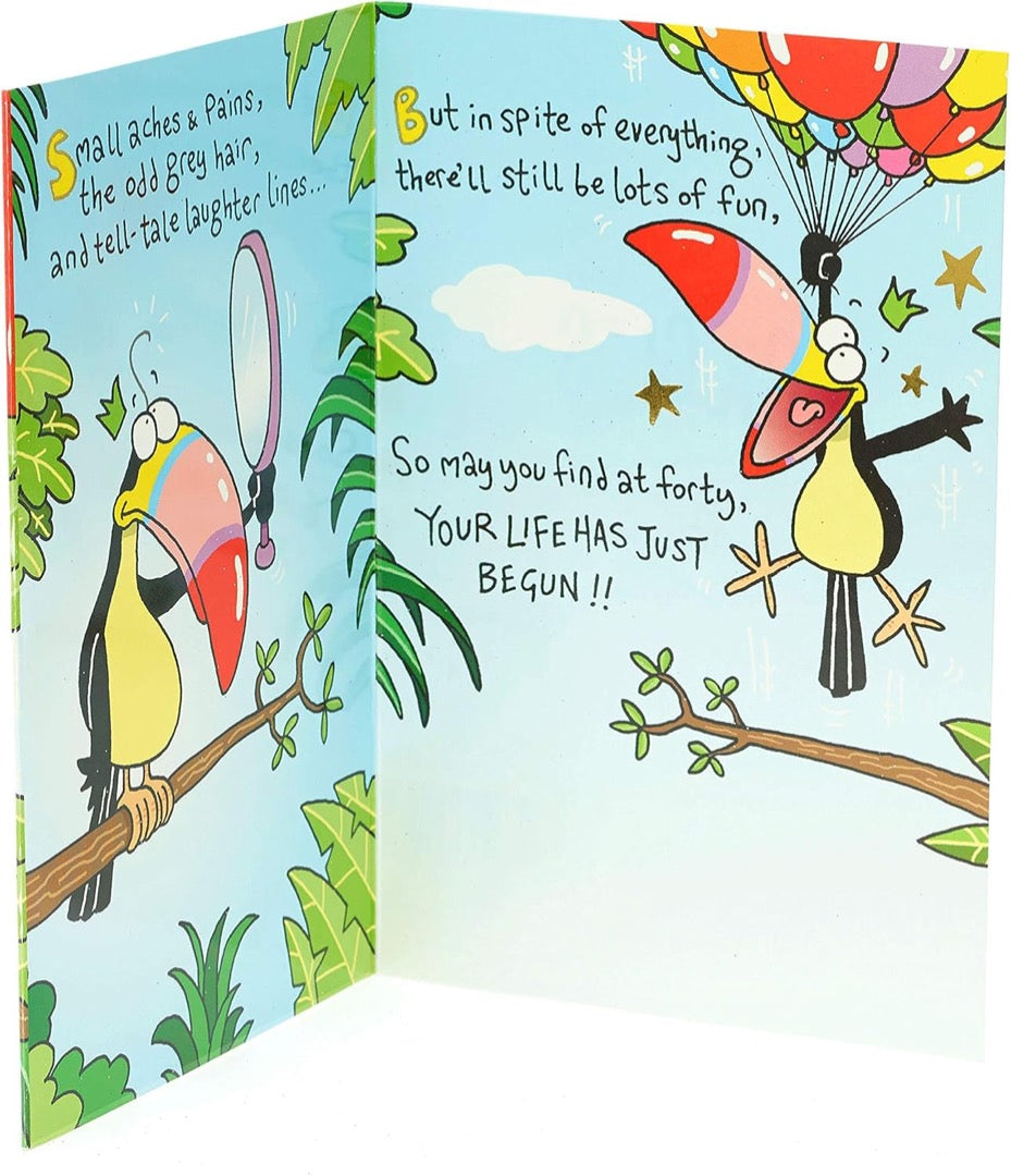 Life Begins at 40 Happy Birthday Card 40th Funny Humour Toucan Grey Hair Aches Pains