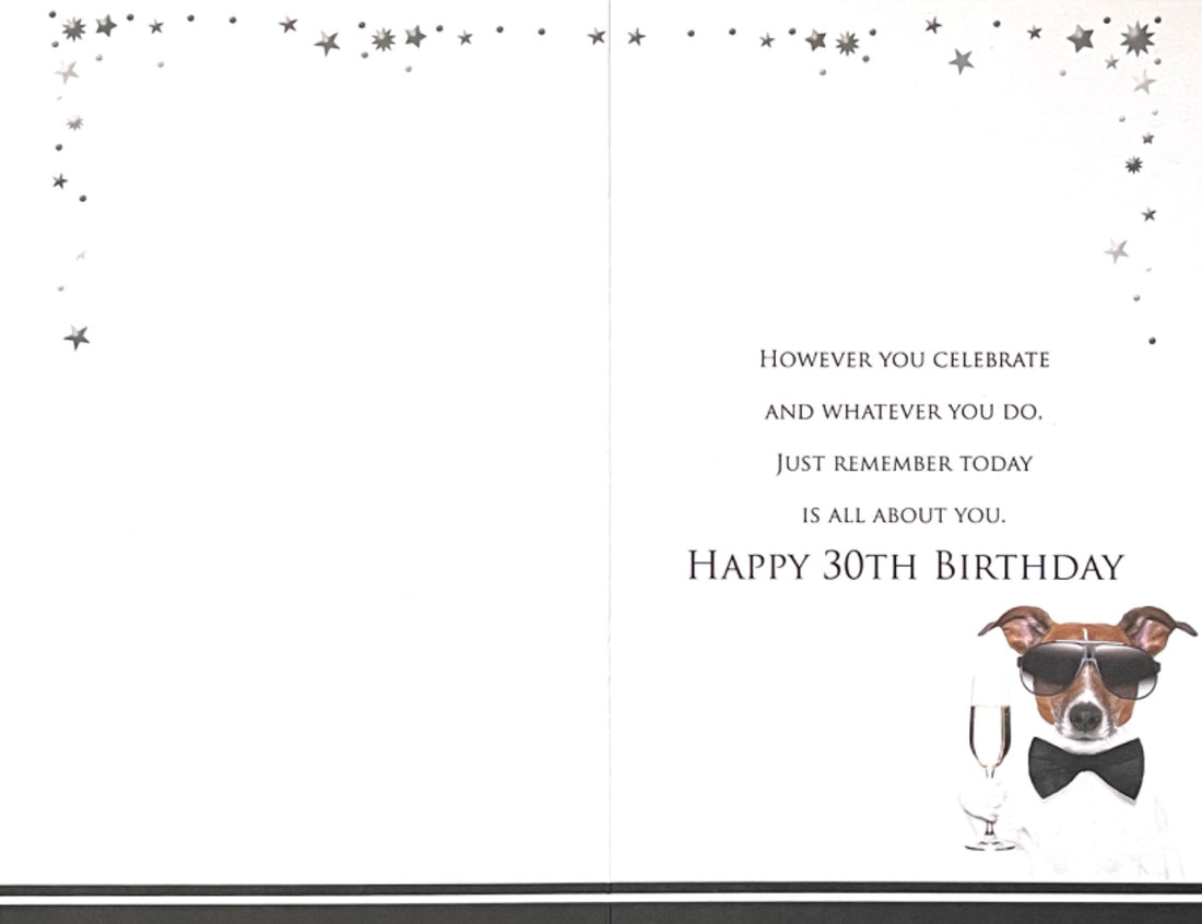 Happy 30th Birthday Card Cool Dog Wearing A Bowtie and Shades Raising A Glass Funny Humour Age 30