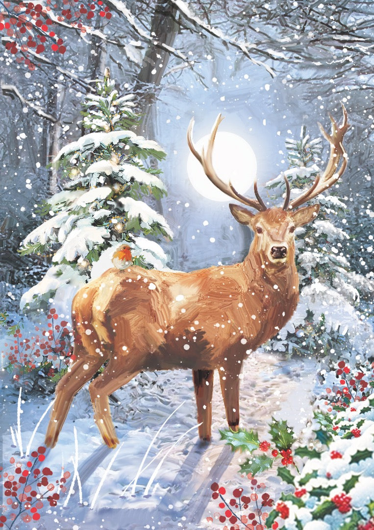 Winter Wildlife Box of 24 Assorted Christmas & Happy New Year Cards - 4 Each of 6 Designs by Ling Design