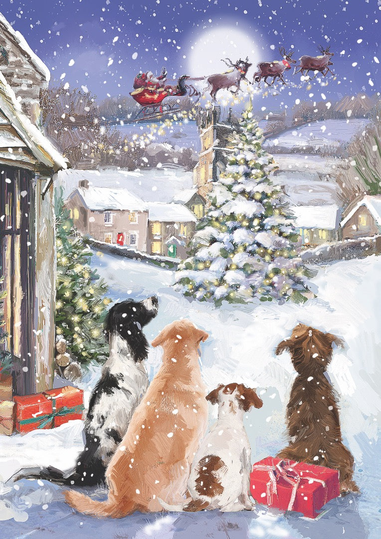 Snowy Scenes Box of 24 Assorted Christmas & New Year Cards - 4 Each of 6 Designs by Ling Design
