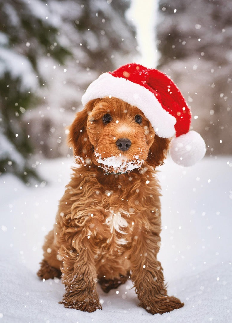 Winter Animals Box of 24 Assorted Christmas & New Year Cards - 4 Each of 6 Designs by Ling Design