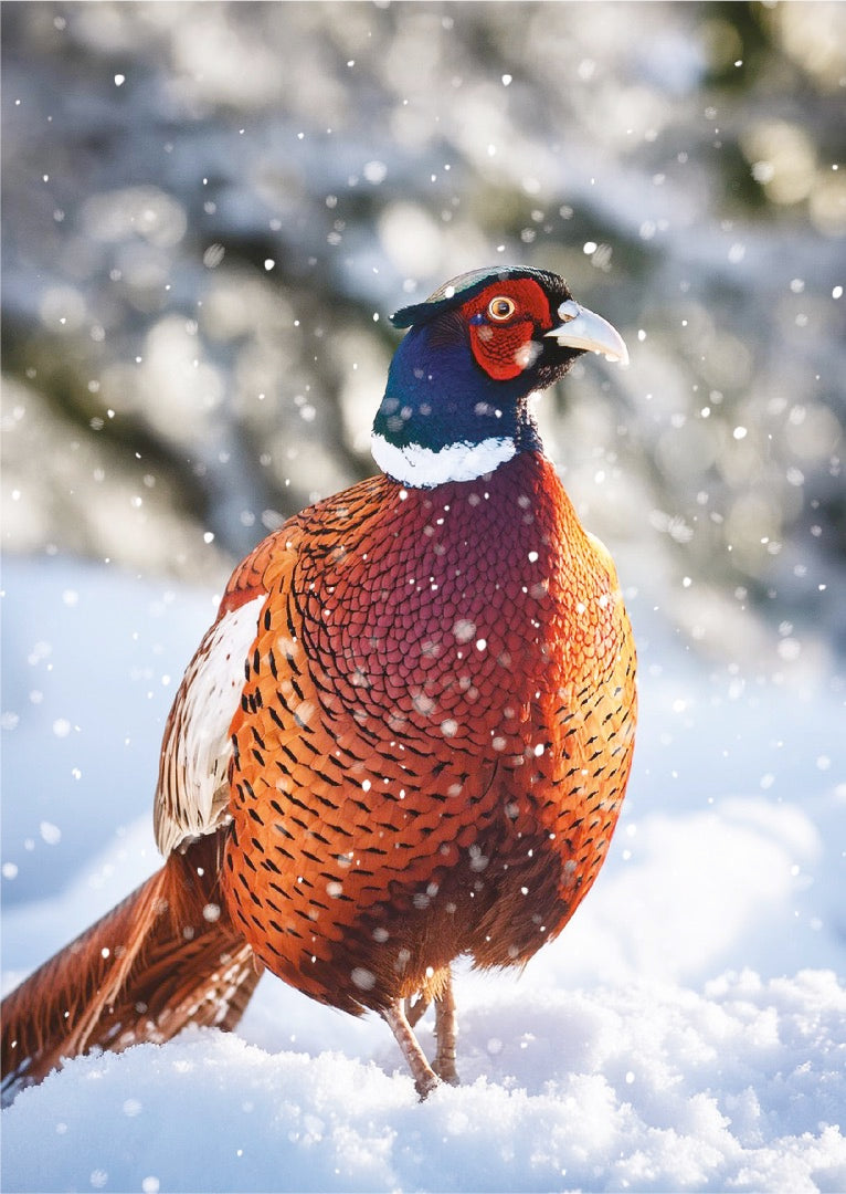 Winter Animals Box of 24 Assorted Christmas & New Year Cards - 4 Each of 6 Designs by Ling Design