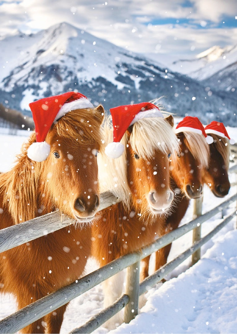 Winter Animals Box of 24 Assorted Christmas & New Year Cards - 4 Each of 6 Designs by Ling Design