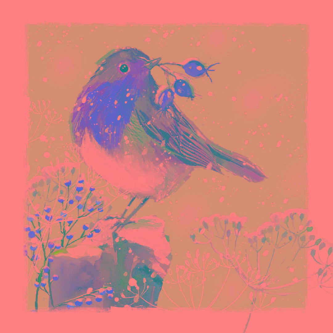 Robin and Berries Wildlife Festive Collection Pack of 6 Charity Christmas Cards - Premium Board - Eco-Friendly By Ling Design