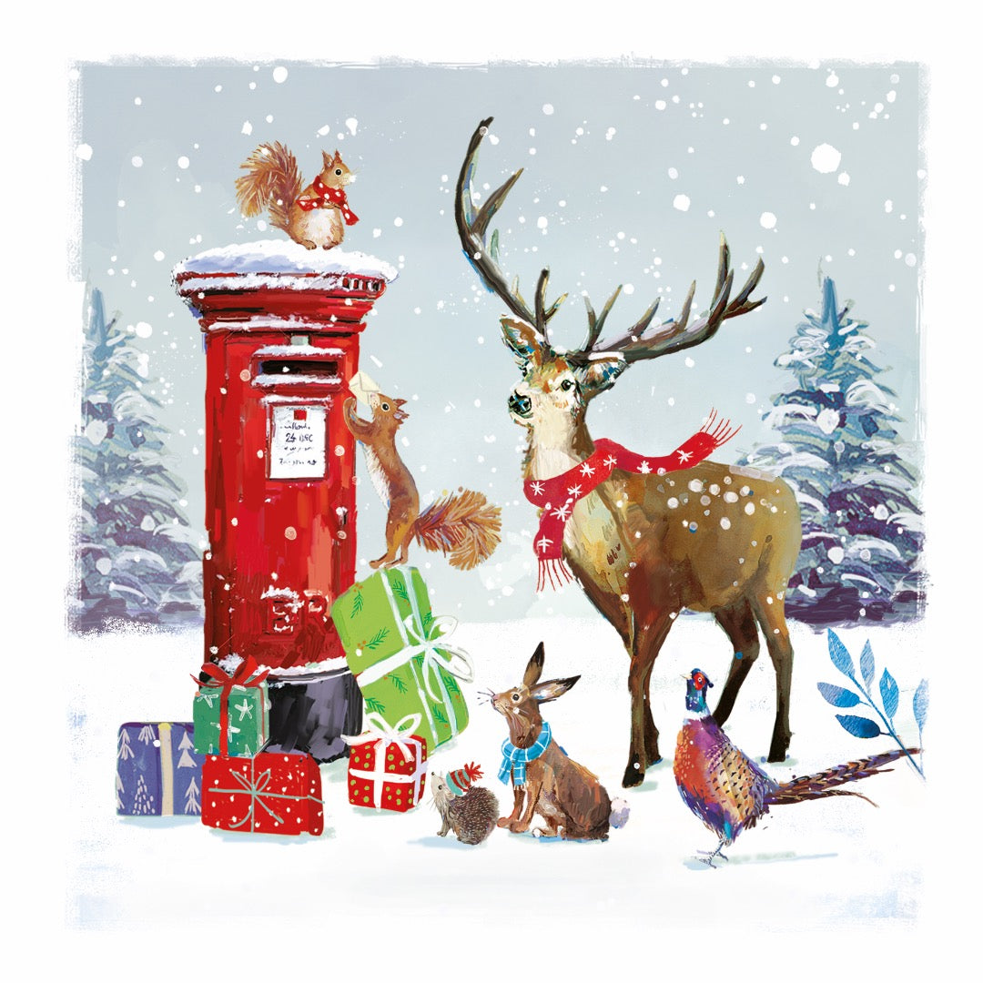 Festive Wildlife Premium Bumper Box of 30 CHARITY Christmas Cards in 6 Designs - 16 x 16cm - Gloss Finish - Great British Card Company