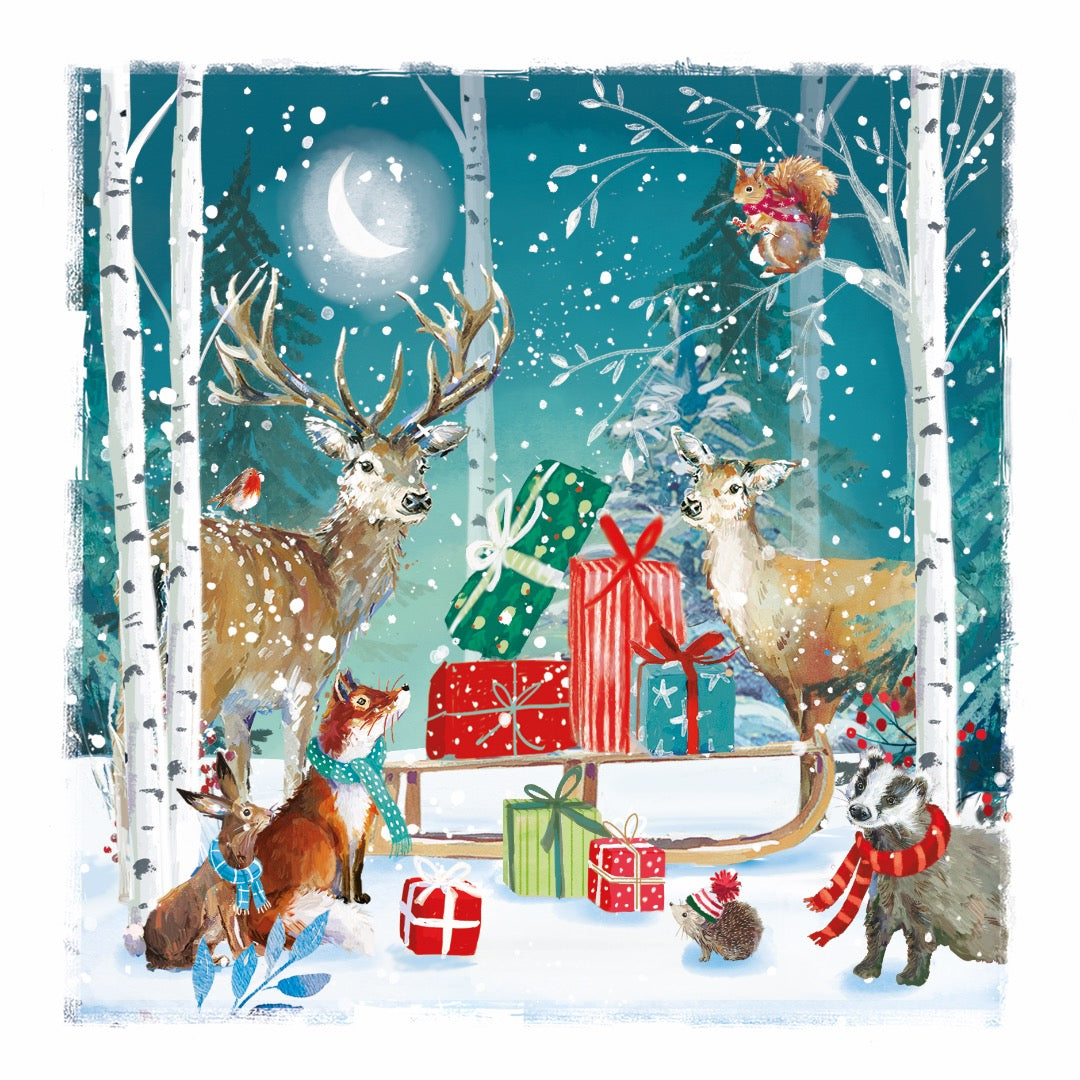 Festive Wildlife Premium Bumper Box of 30 CHARITY Christmas Cards in 6 Designs - 16 x 16cm - Gloss Finish - Great British Card Company