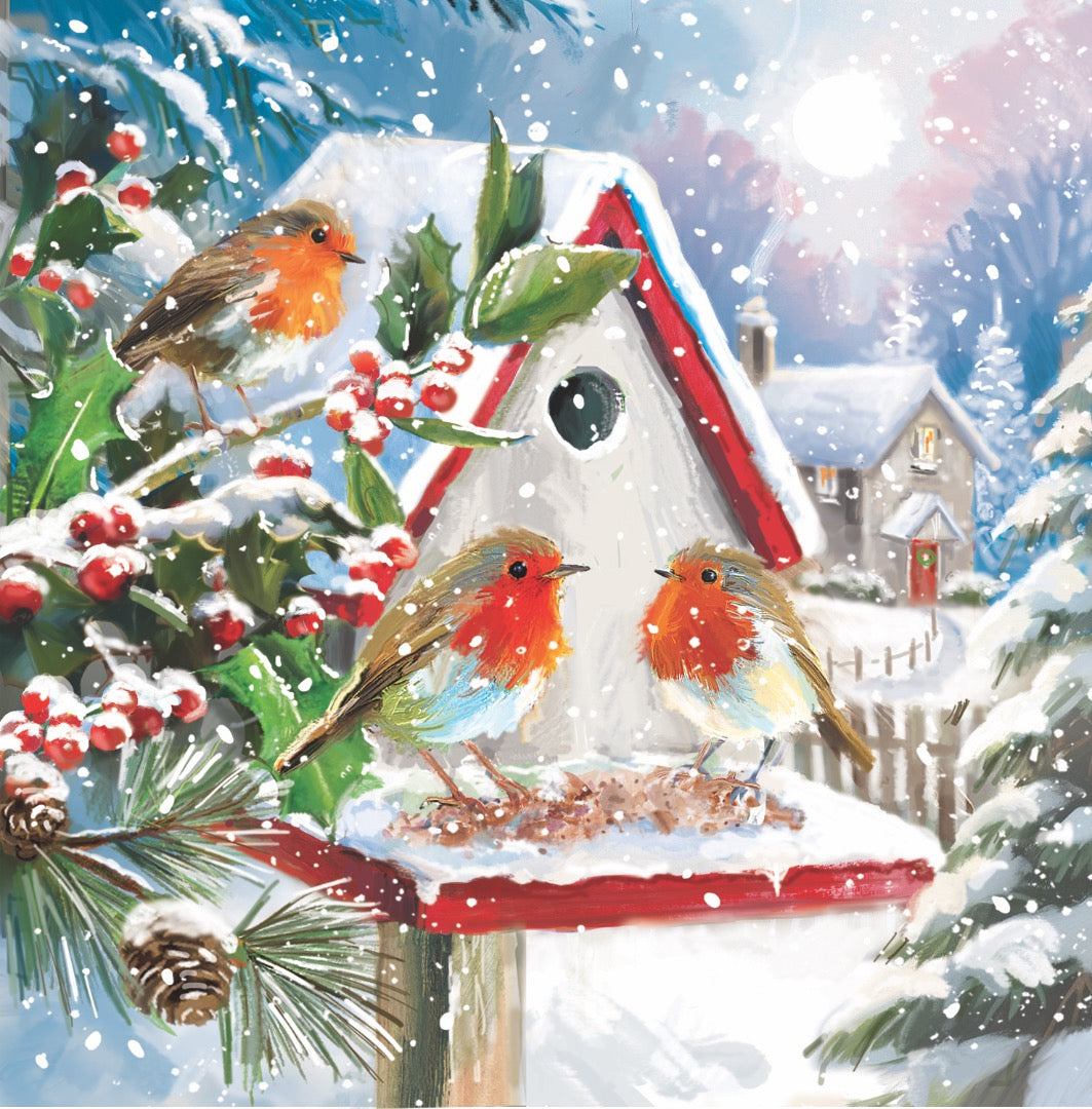 Red Breast Robins Festive Art Deluxe Box of 12 Christmas & New Year Cards - 135 x 135mm (5.5x5.5in) - Gloss Finish on Premium Board - Great British Card Company