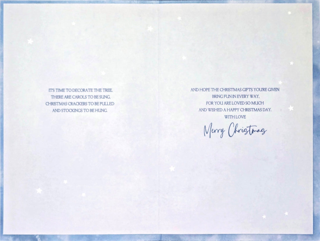 Grandson & Family Xmas Sparkle Festive Winter Wonderland Christmas Greeting Card (23x15.5cm)  Silver Foil Finish with Silver Envelope
