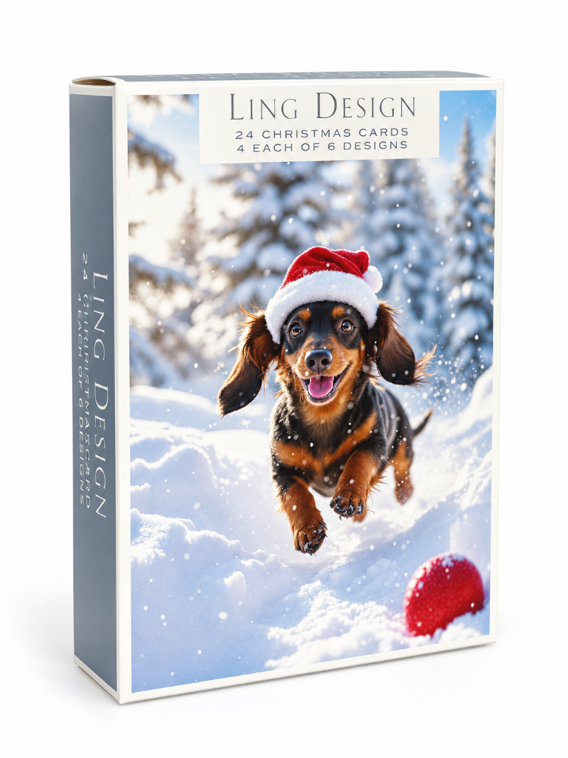 Ling Design Photographic Animals Christmas Cards Assortment, Box of 24, 6 Festive Designs