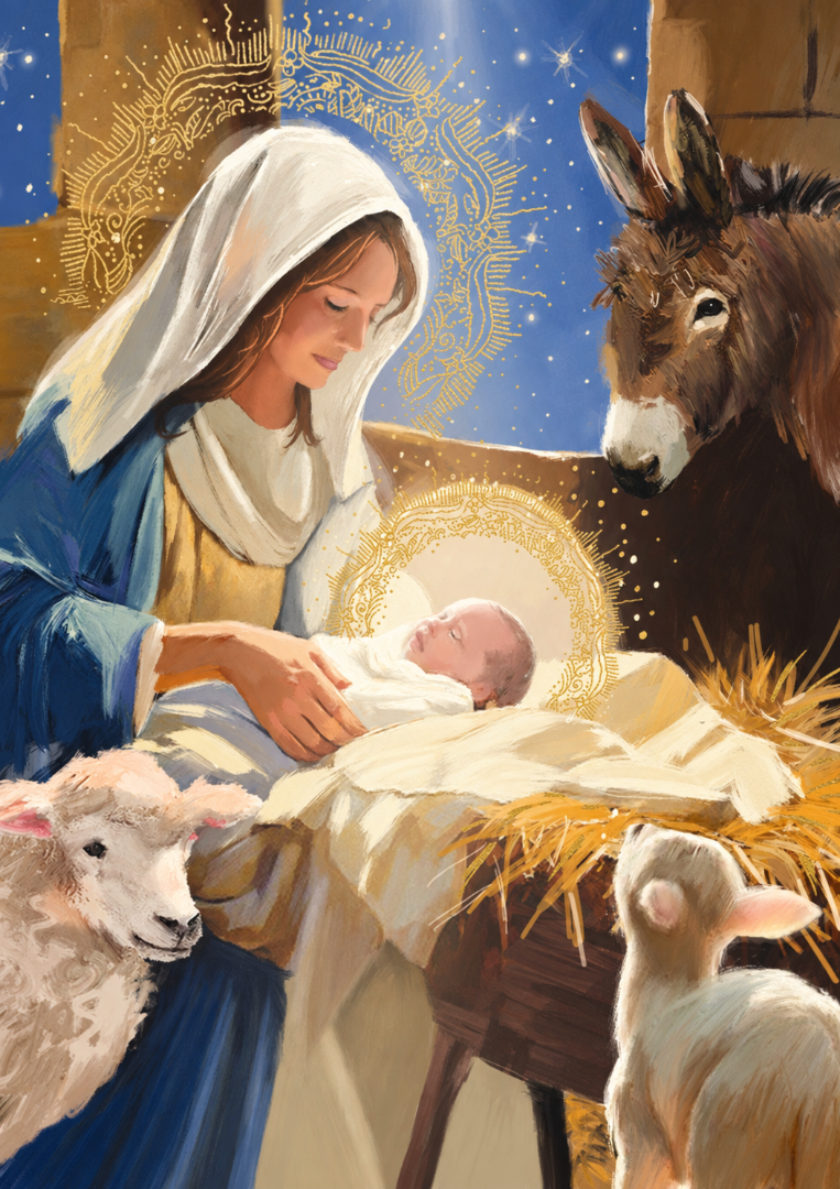 Religious Nativity Premium Christmas & New Year Cards, 24-Pack Assortment, 6 Designs (4 Each)