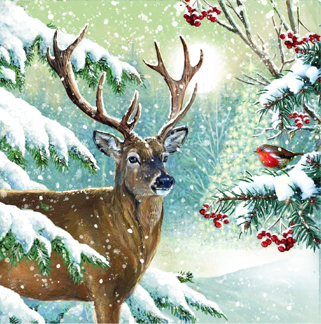 Snowy Animals Festive Christmas & New Year Cards ? Deluxe Large Box of 12, 3 Designs