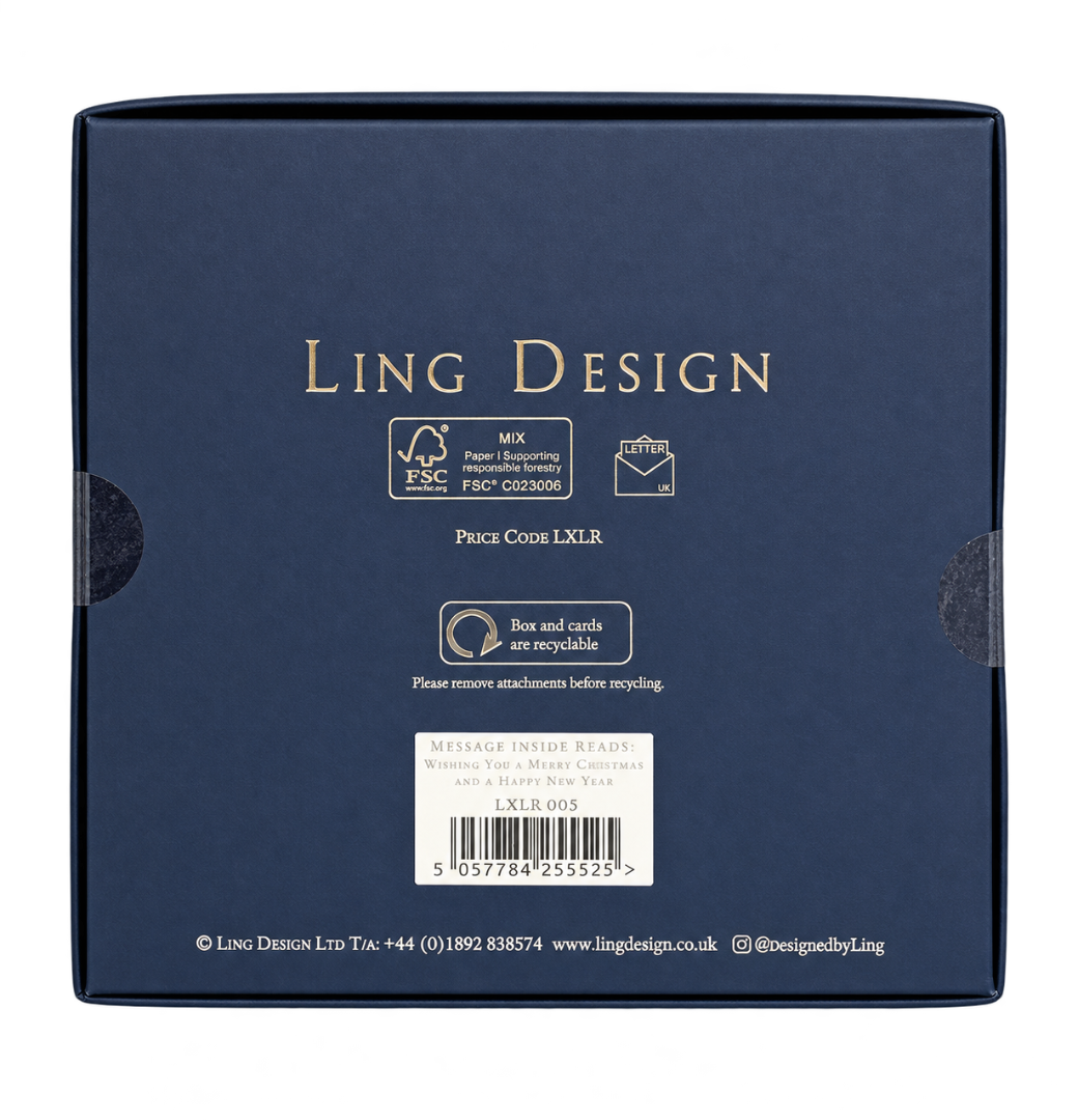 Decorative Present - Luxury Box of 5 Foil Embossed - Embellished Greeting Cards - Raised Cut-Out Ling Design