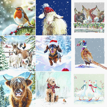 Ling Design Wildlife Charity Christmas Cards - Pack of 6 Square Xmas Cards with Envelopes - Robin, Highland Cow, Pheasant, Geese, Sheep & Dog Designs - 40p Donated to UK Charities
