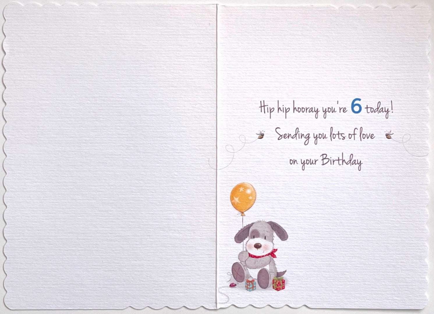 6 Today Happy 6th Birthday Hip Hip Hooray Cute Dog Owls Gifts and Balloons - Blue