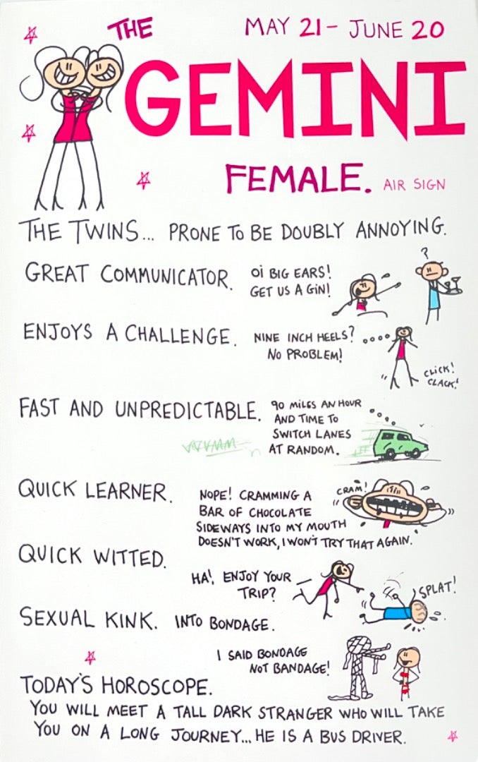 Gemini Female The Twins May 21-June 20 Astrology Zodiac Star Sign Blank Card Naughty Rude Humour