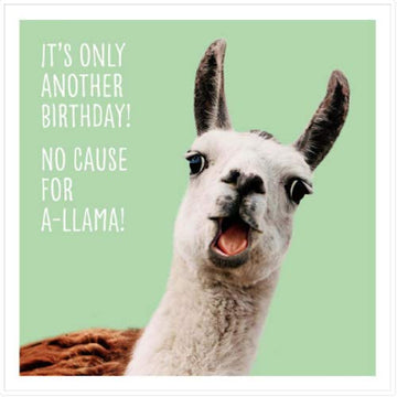 It's only Another Birthday No Cause for A-Llama Funny Humour Blank Card UKG