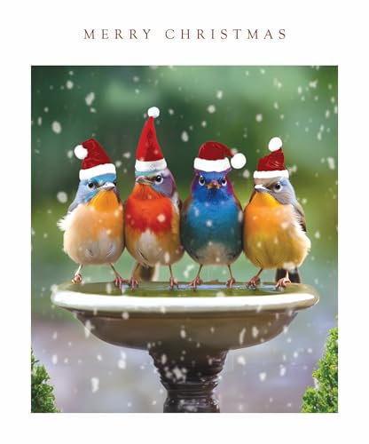 Festive Cute Animals Photographic Art Christmas & New Year Single Greeting Card - 185 x 155mm (7.2 x 6in) - Eco-Friendly & Recyclable