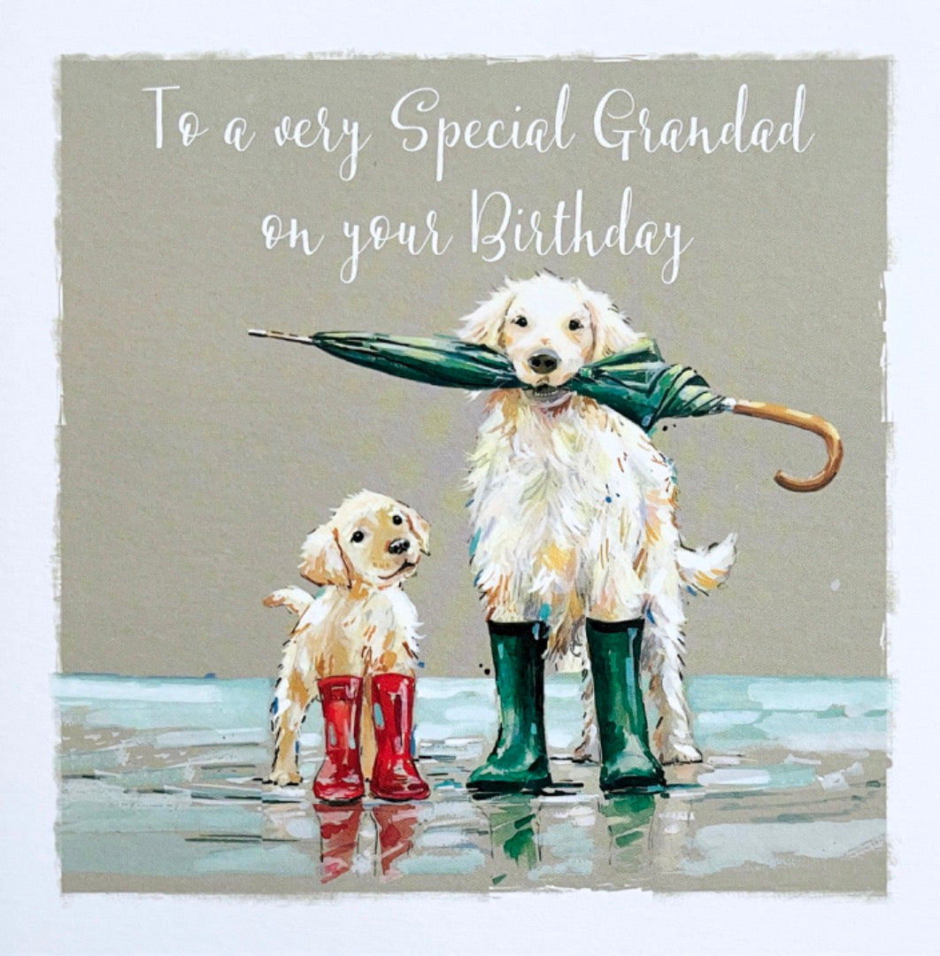 Special Grandad Happy Birthday Greeting Card Dogs Splashing in Puddles (II0973)