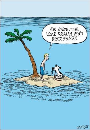 Stranded on a Desert Island with Pet Dog - Funny Humorous Blank Greeting Card